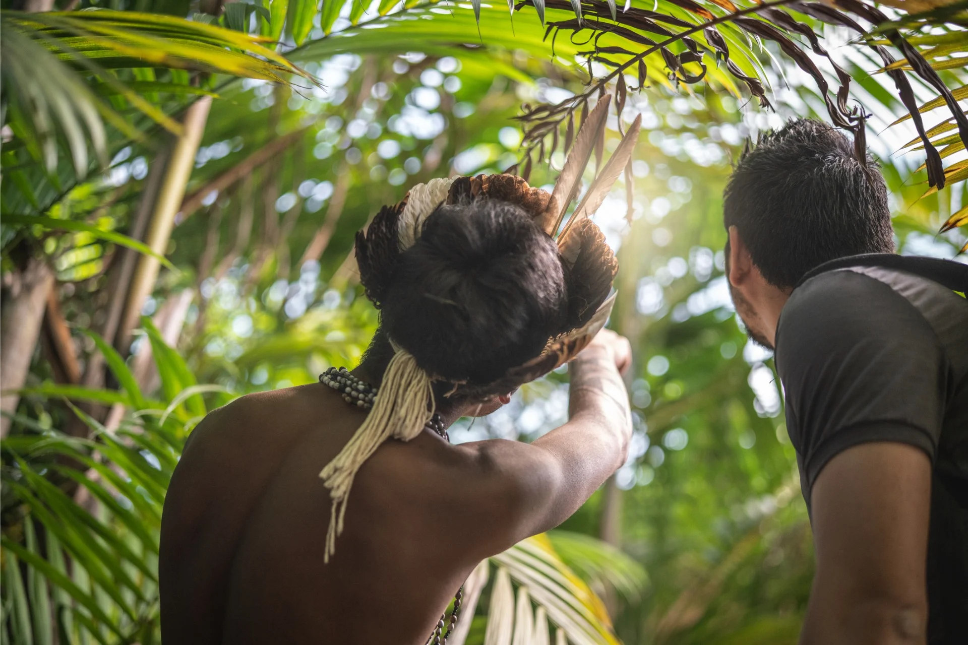 indigenous brazilian man showing rainforest to ethical traveler